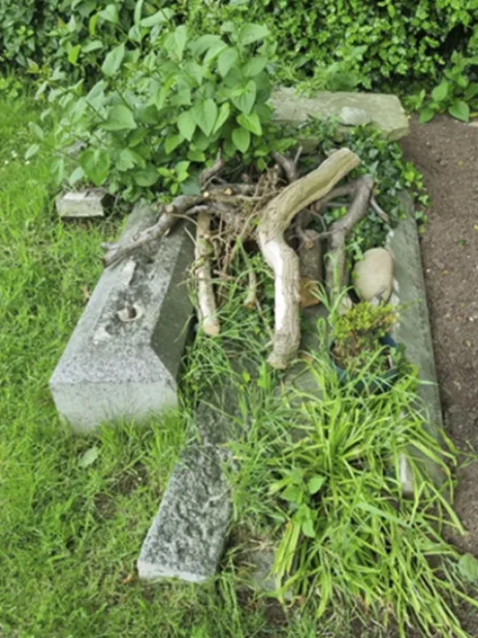 Cemetery 2