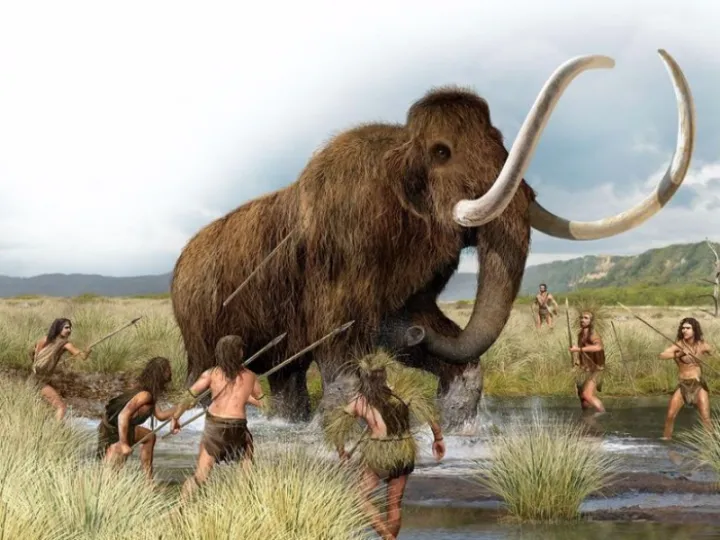 Stone Age 2
