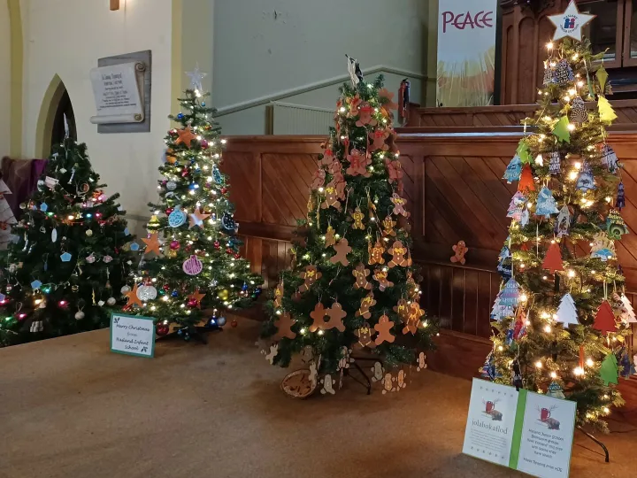 Hasland Christmas trees2