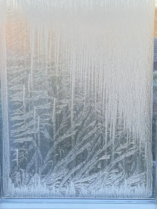 Frosty Window