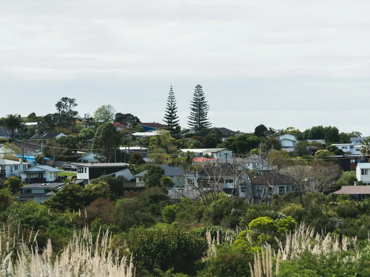 A peaceful suburban scene capturing the essence of Auckland's residential area with lush greenery and houses.