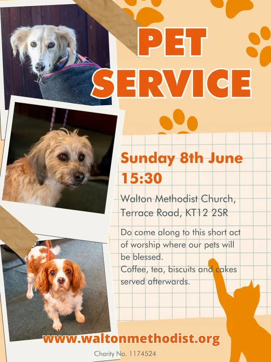 Pet Service, Walton June 2025