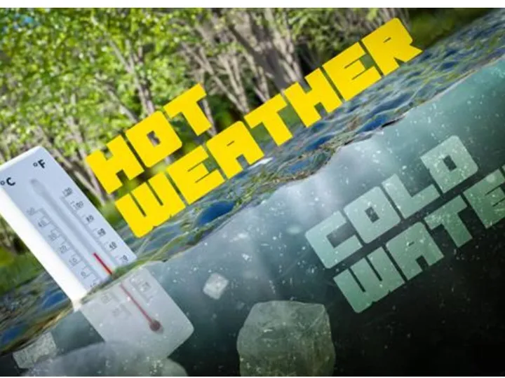 Screenshot 2025-06-19 140250