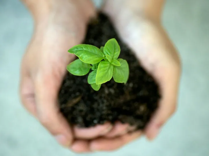 Jennifer-Delmarre-Iqmuhjf5khu-Unsplash