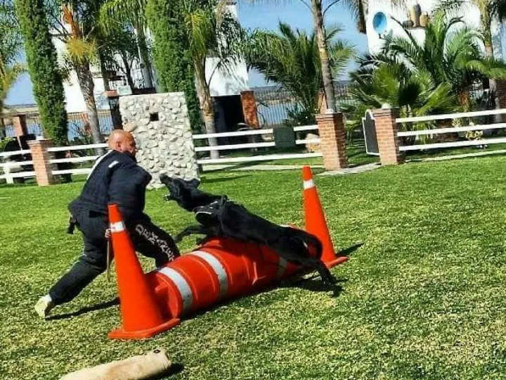 Whatsapp Image 2025-08-06 At 1