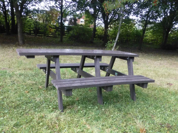 Picnic Table 2025