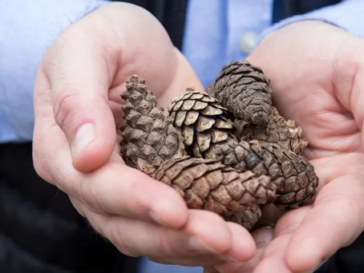 Connect &ndash; 9r2a6378 Large