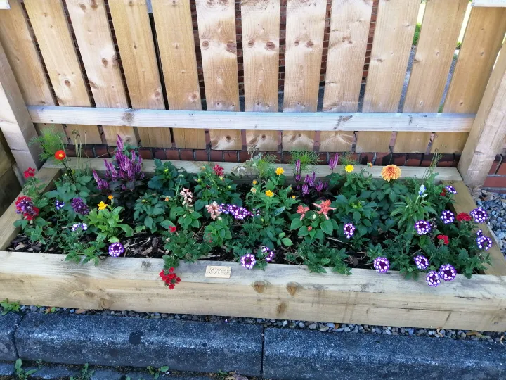 Willington Gold award 2