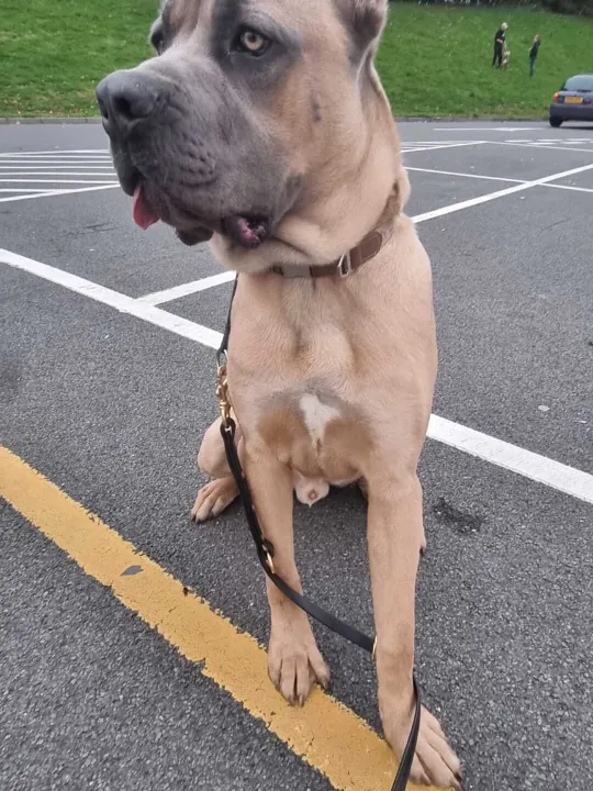 Whatsapp Image 2025-10-16 At 14