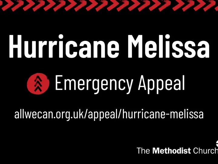 Link, Logo Banner Black