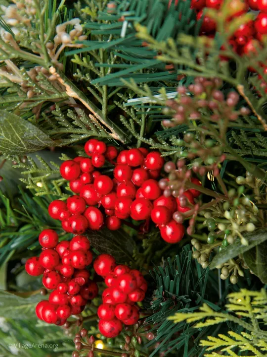 Christmas Wreath 2025