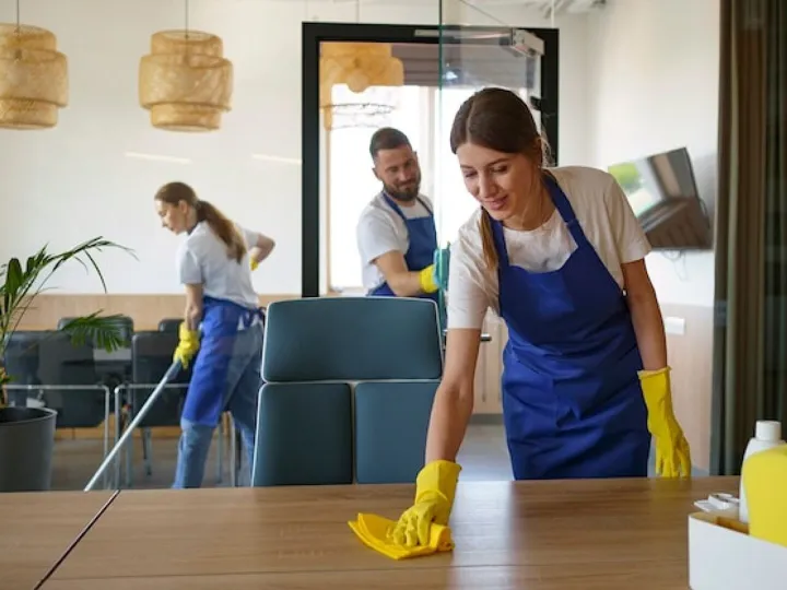 Professional cleaning service people working