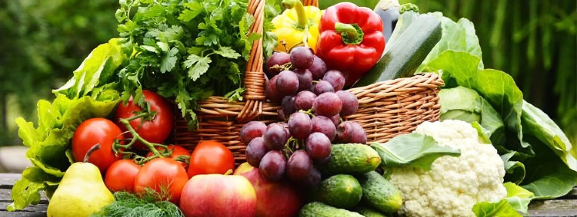 Harvesting-Basket-2x