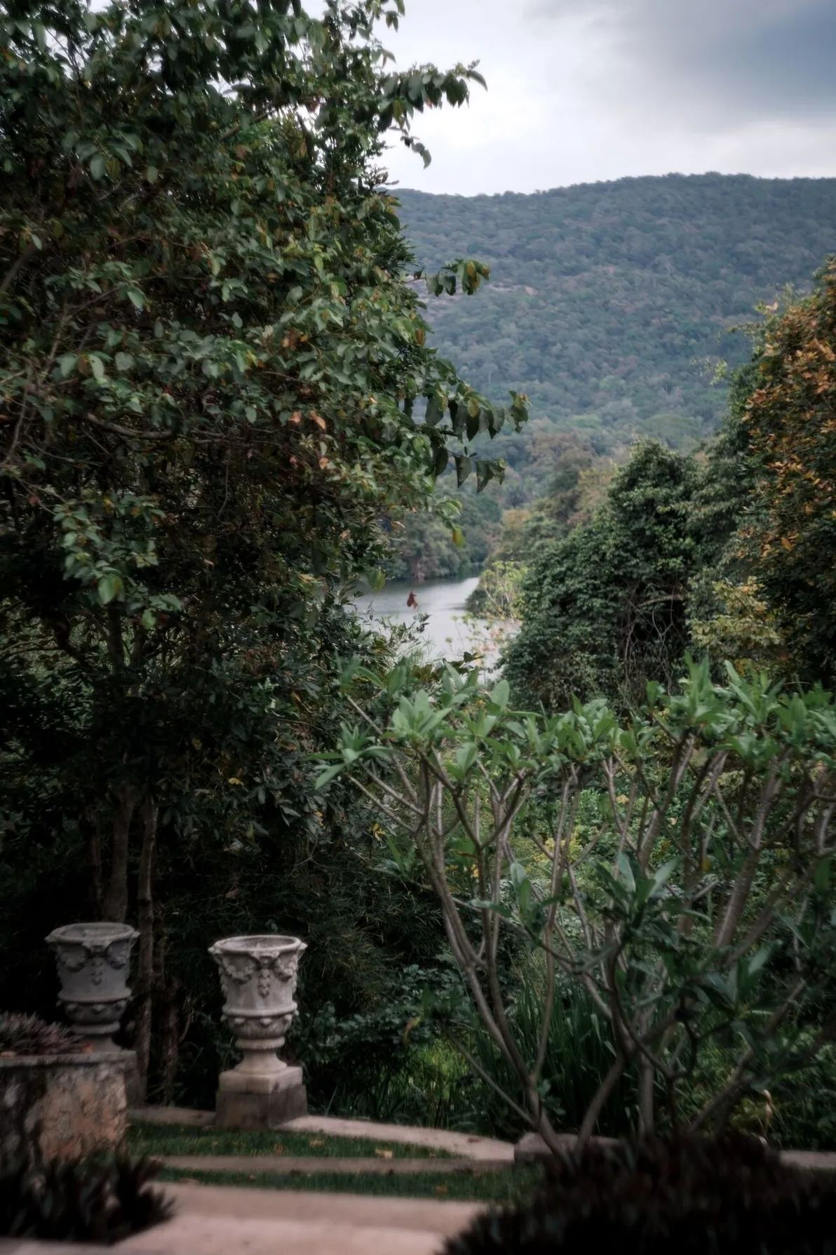 The garden falling away towards Wewela Lake at Peacock Hill Sigiriya