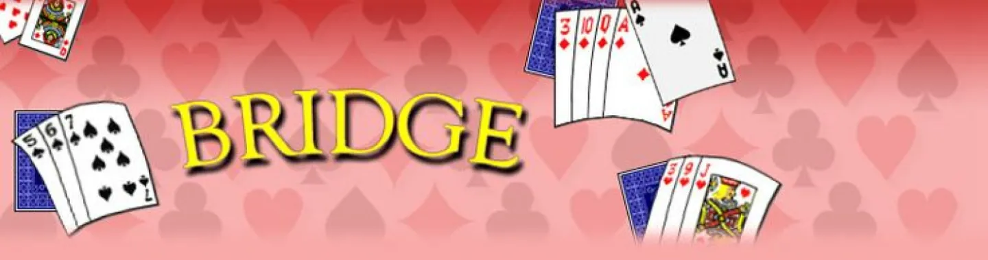bridge4