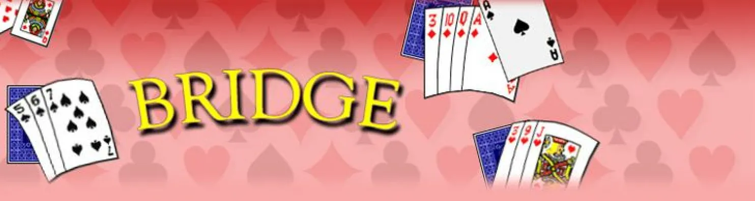 bridge4