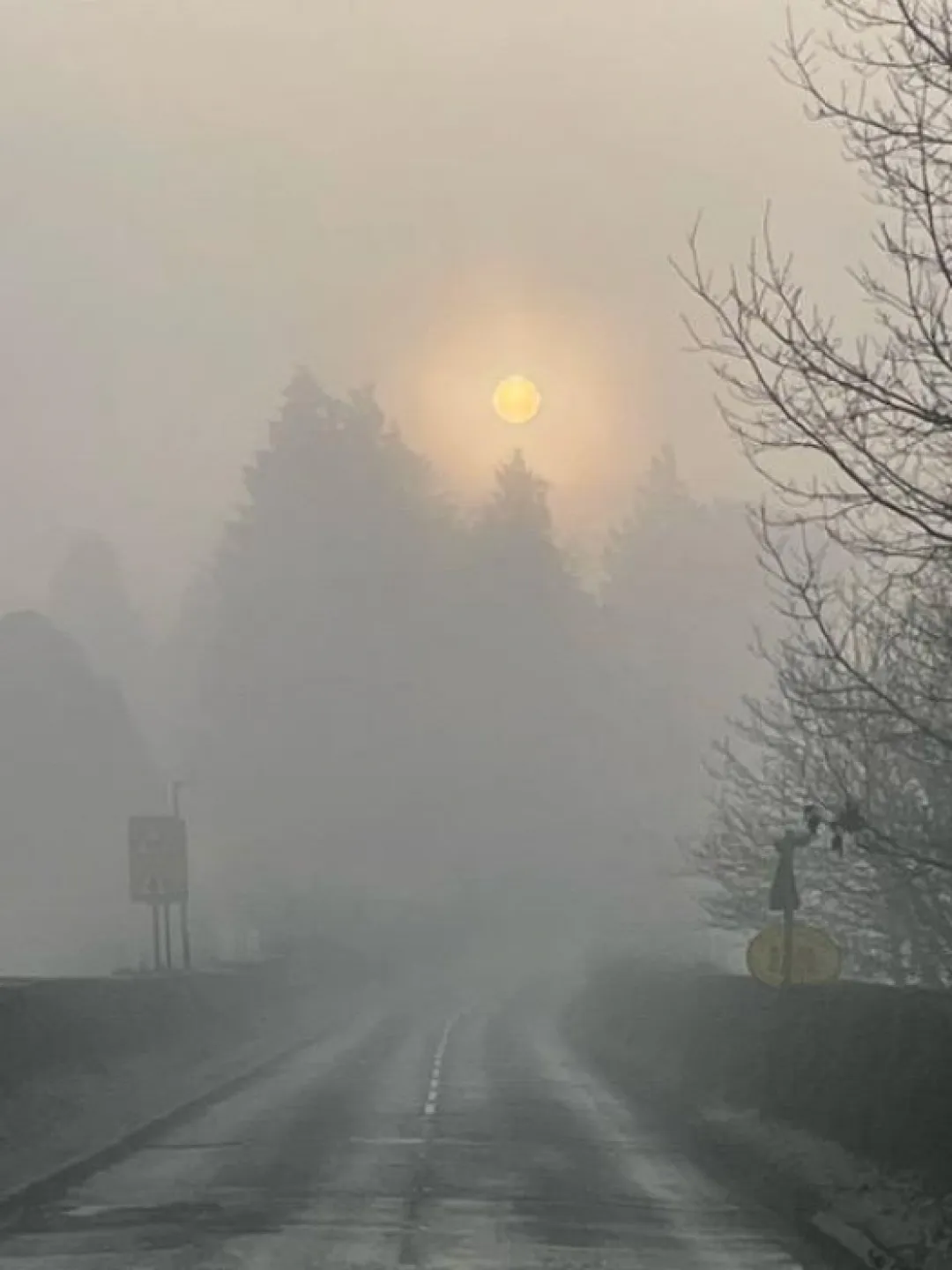 misty morning