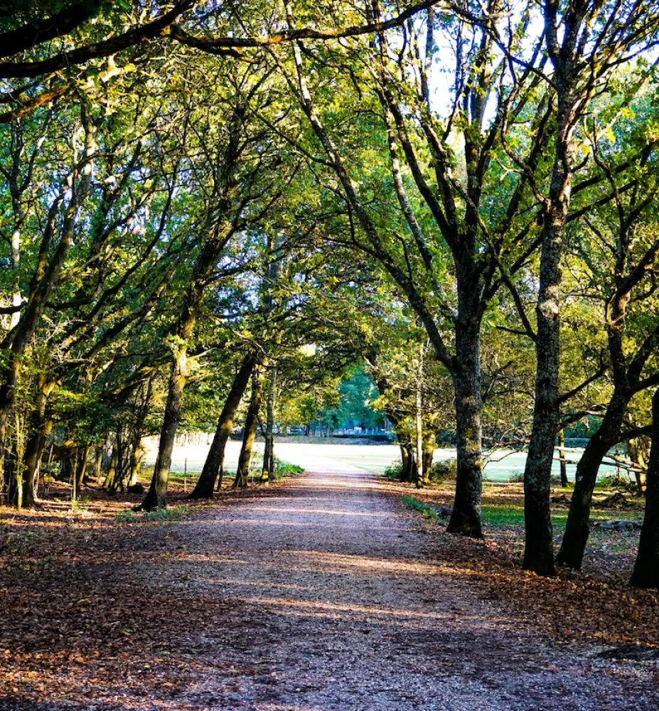Walk