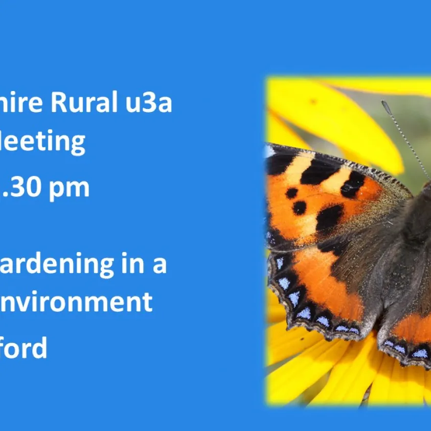 U3a July 2021 Butterfly Talk