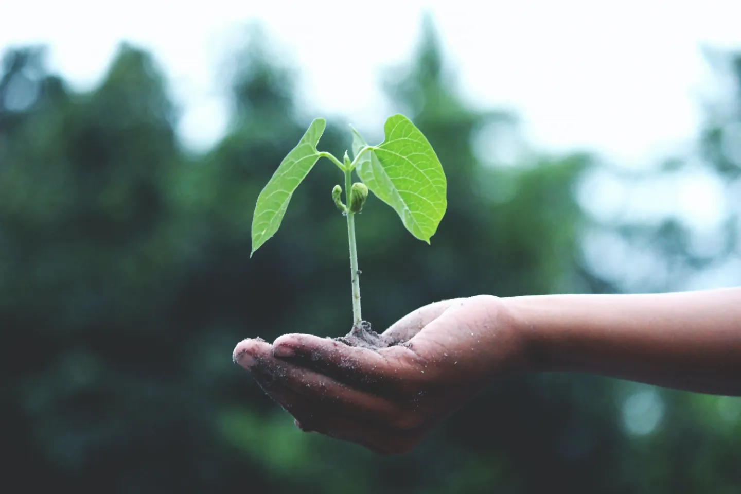 climate toolkit