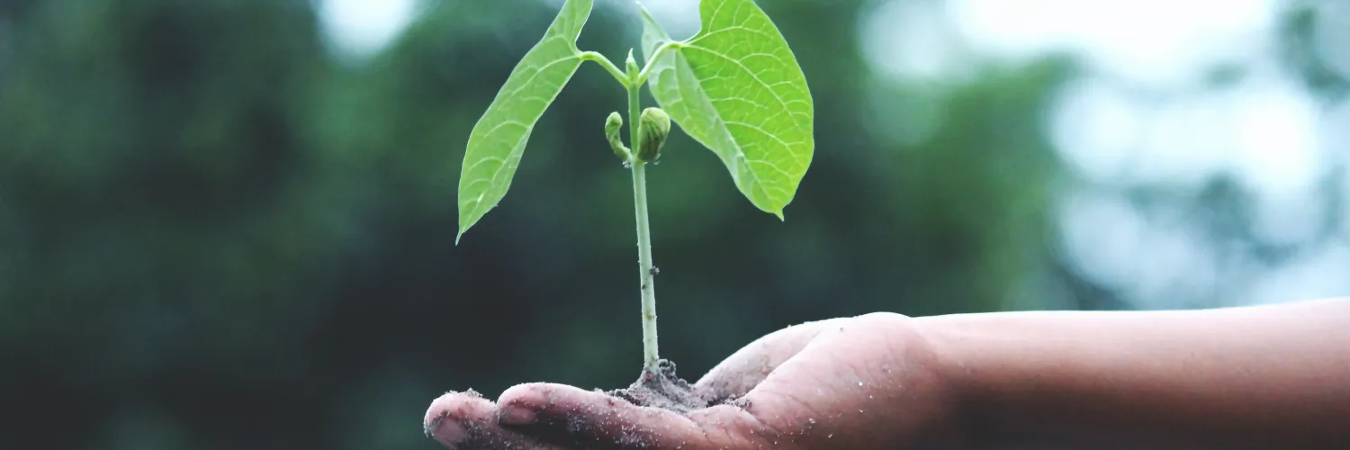 climate toolkit
