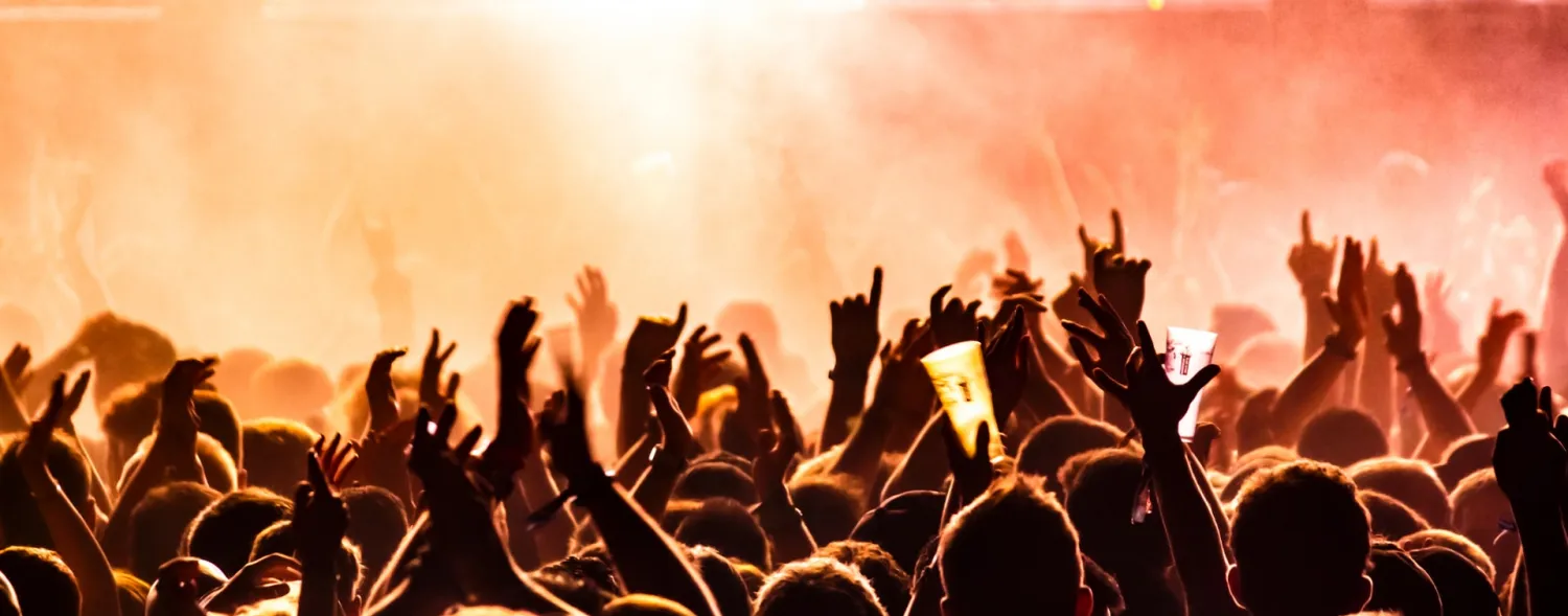 Concert Goers