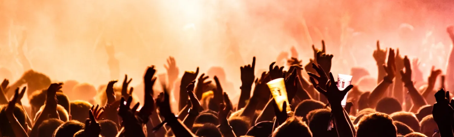 Concert Goers
