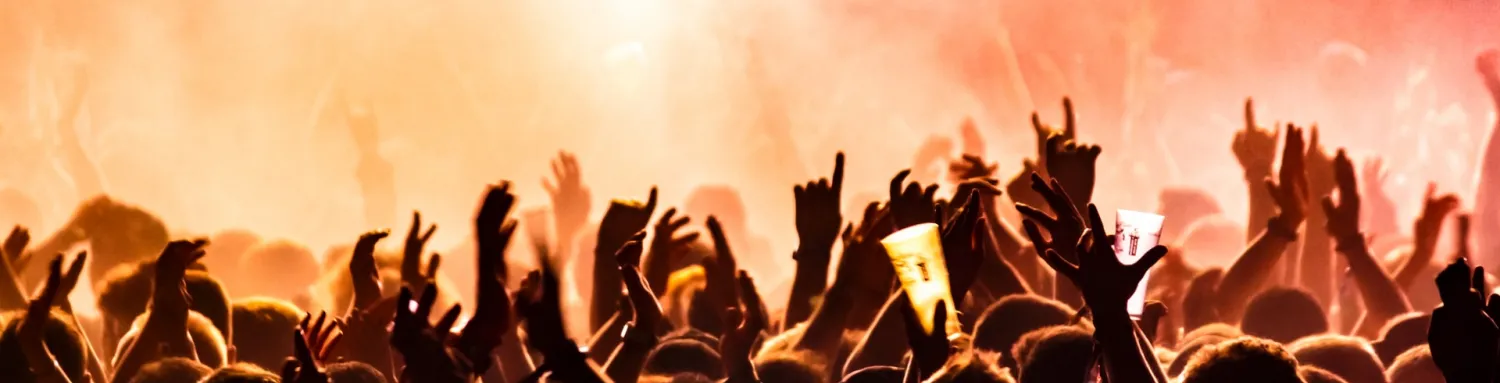 Concert Goers