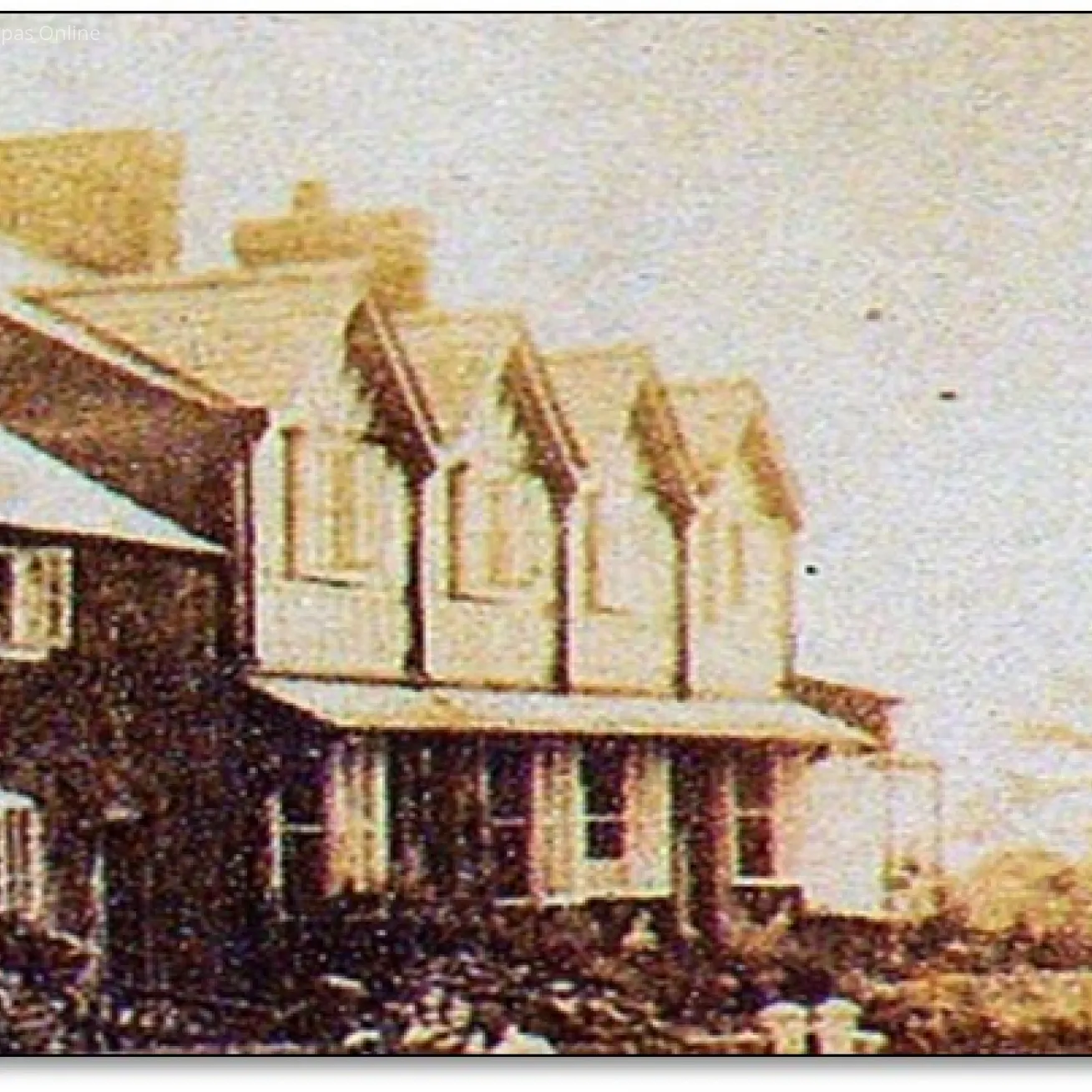 Welsh View