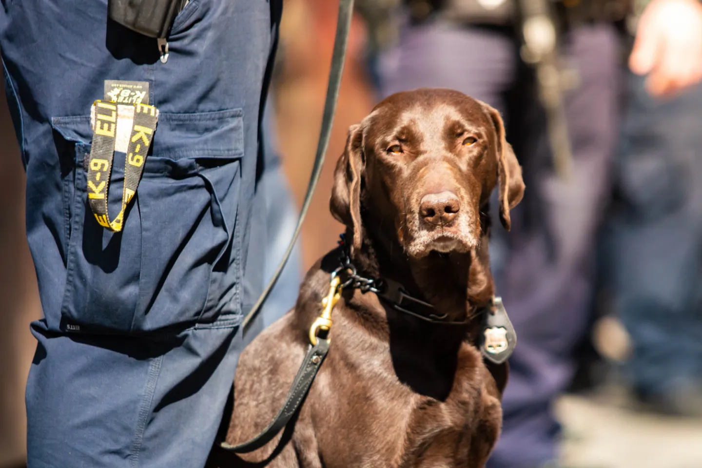 Patrol Dog Unit