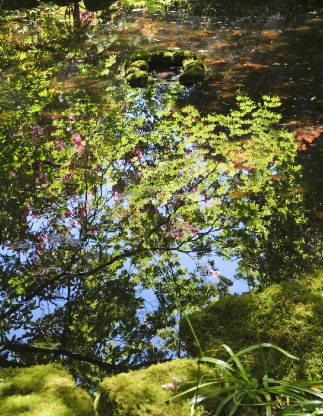 On Reflection
