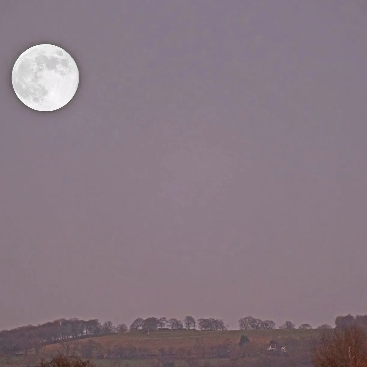 # Wolf Moon F8961