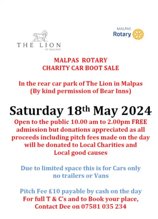 Lion Car Boot Sale