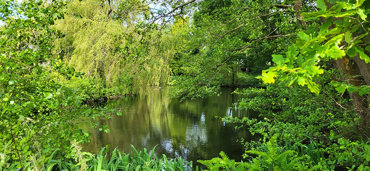 Home_page_replacement Workshopsandretreats