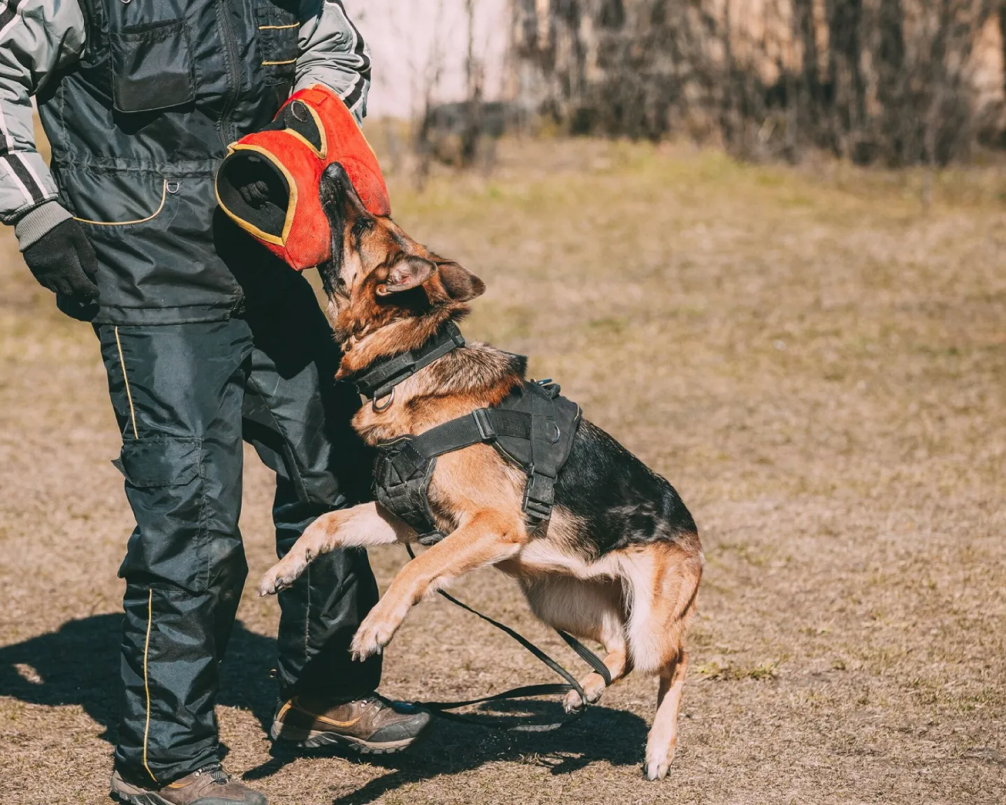Family Protection Training