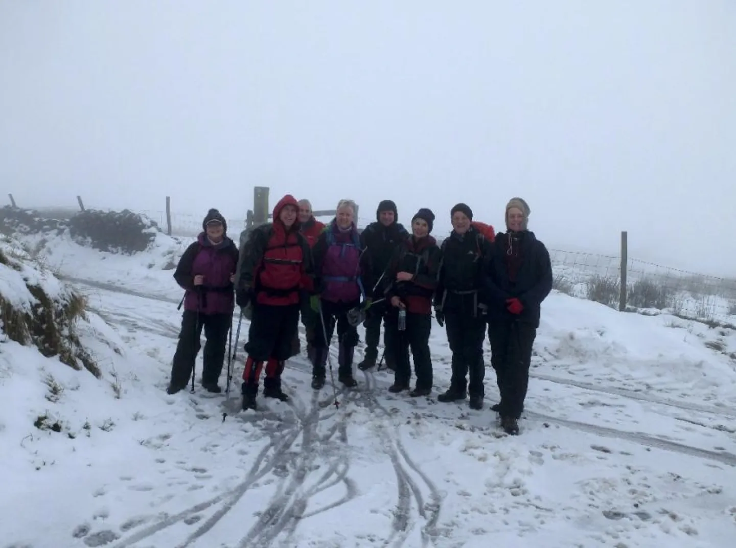 ARS Walk