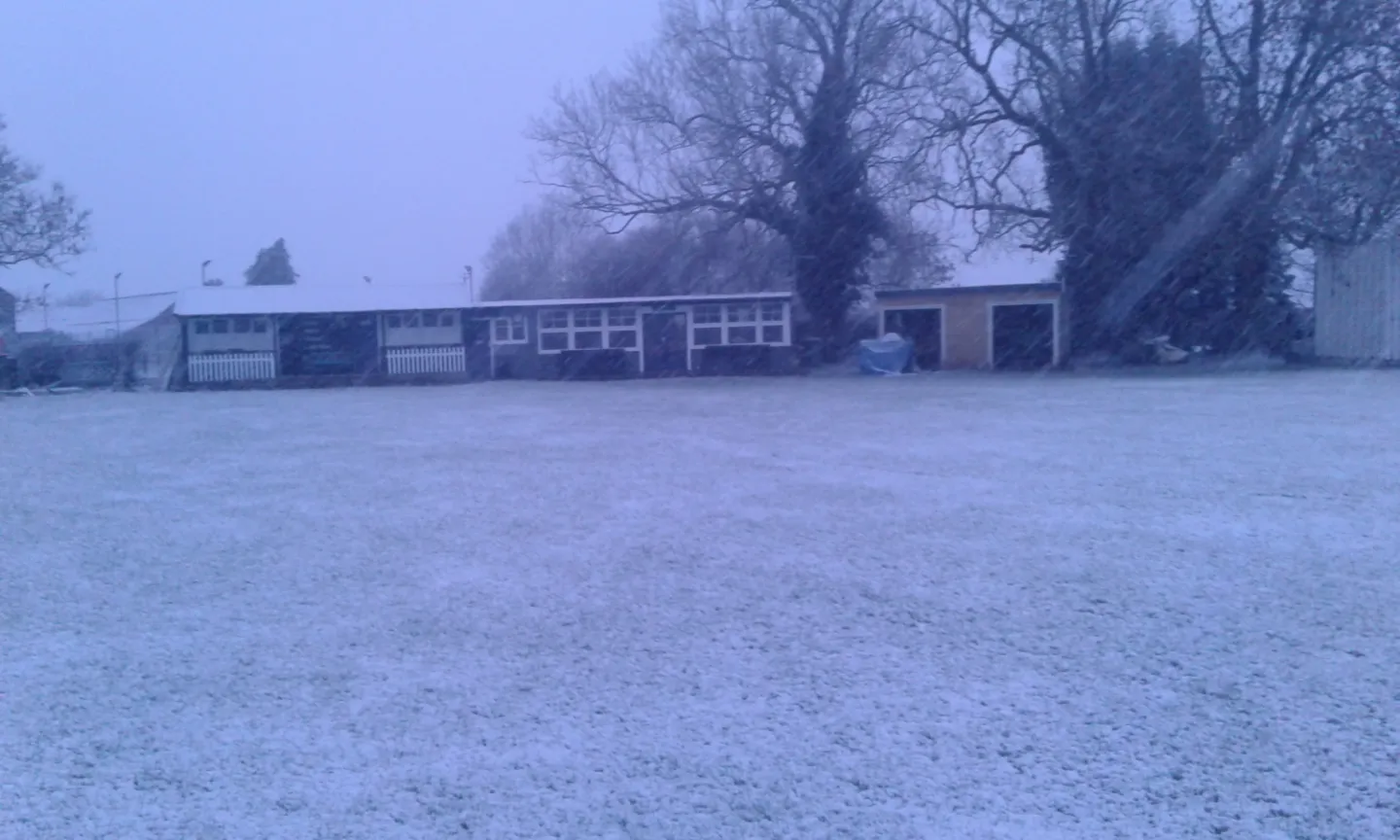cricket snow