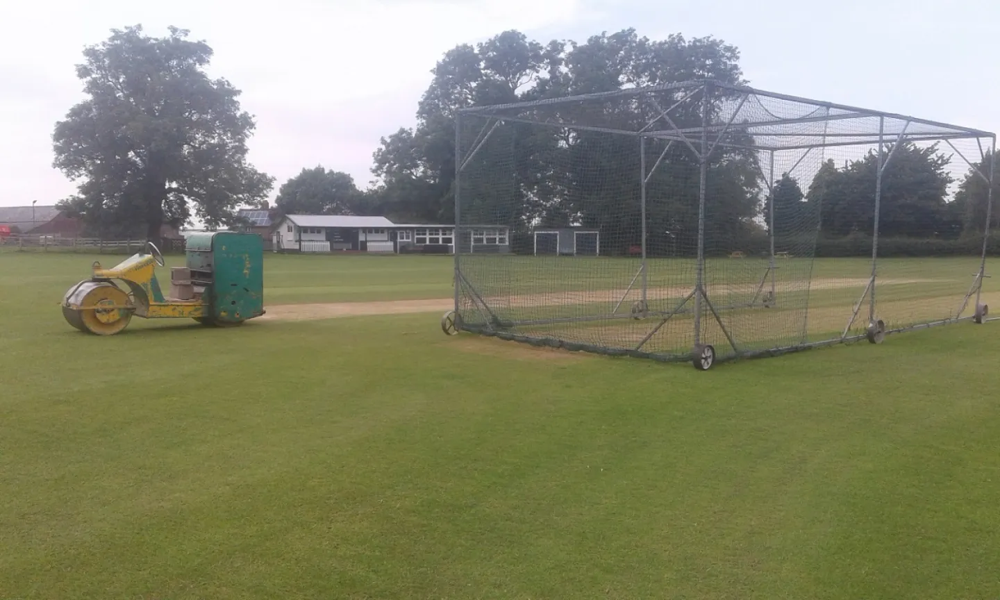 cricket wicket