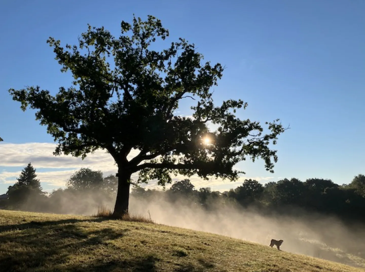 Misty Turnpike