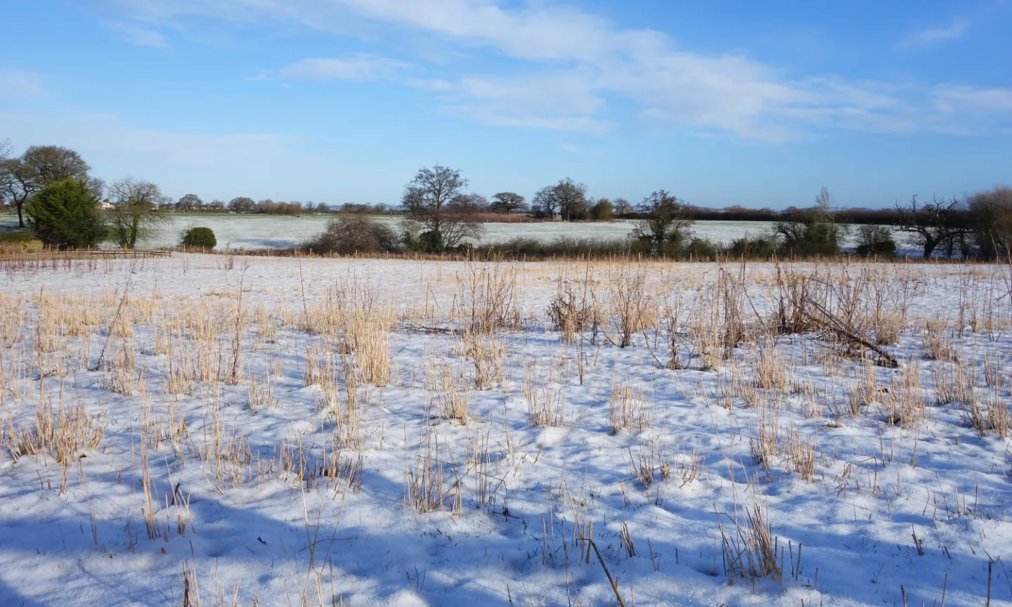 #R Winter Morning s01835