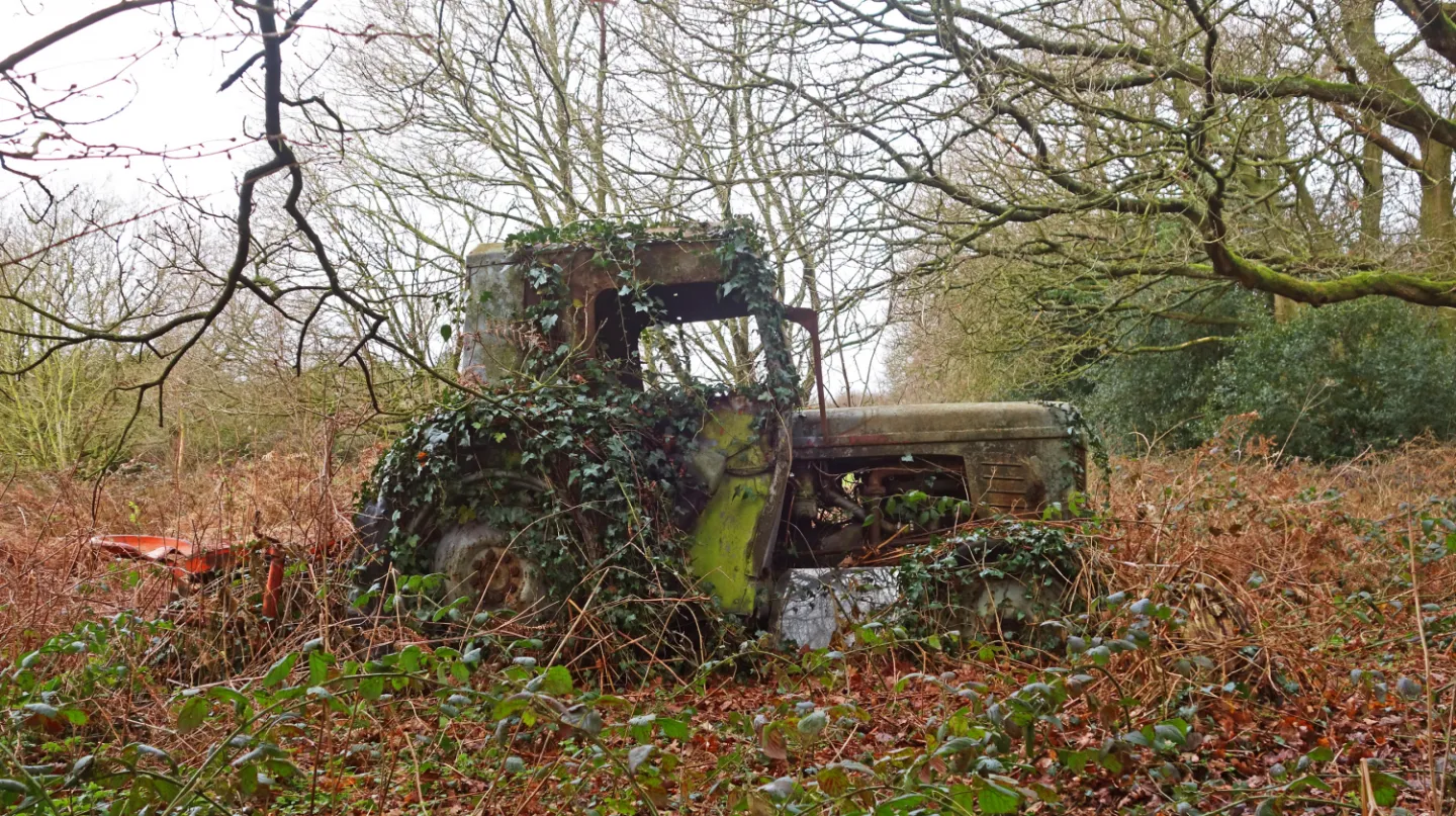 #R The Power of Nature s01985