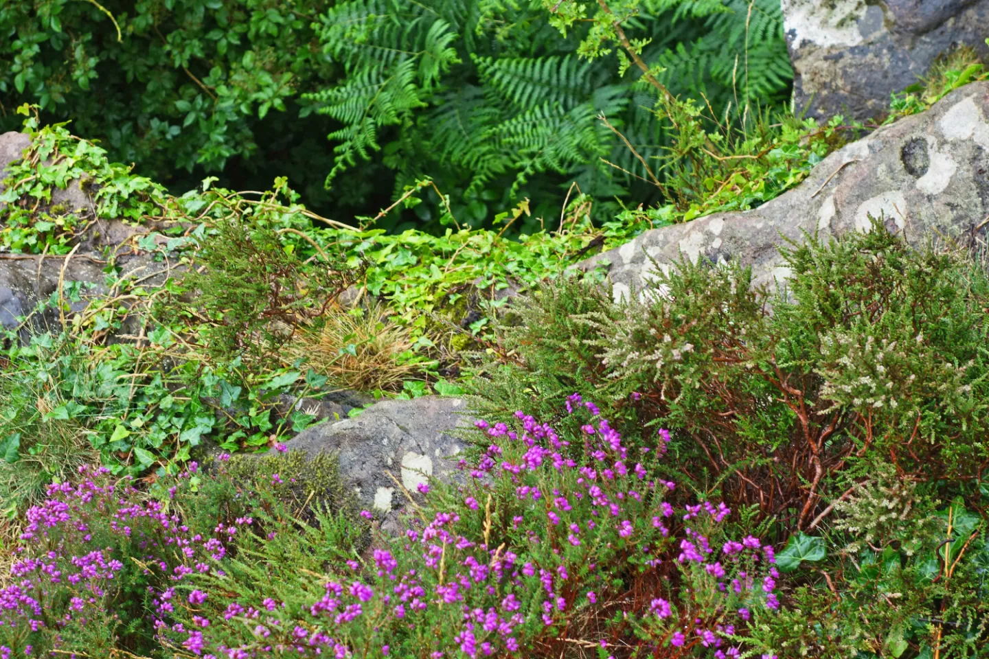 rr Life on the Edge-2_s02462