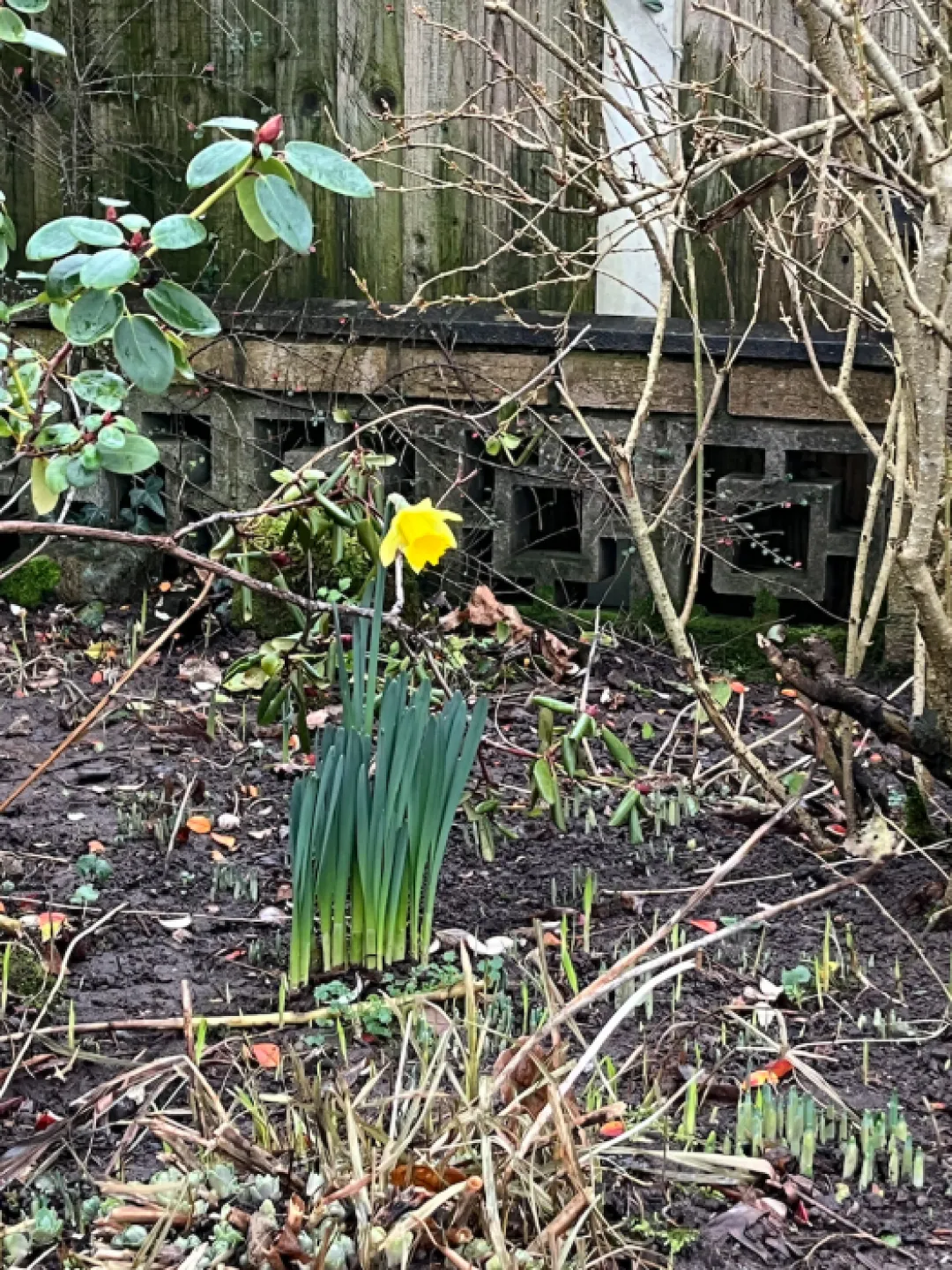 Spring has Sprung !!