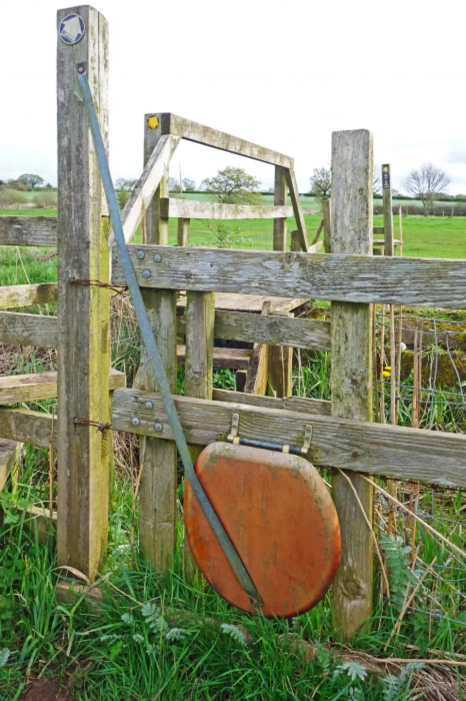 Convenience Crossing