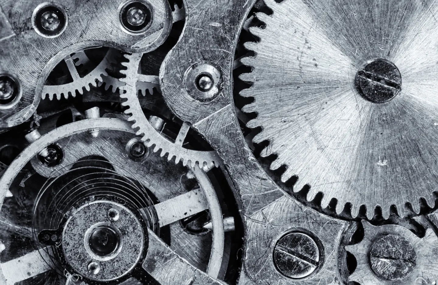 Macro, cogwheel, gear