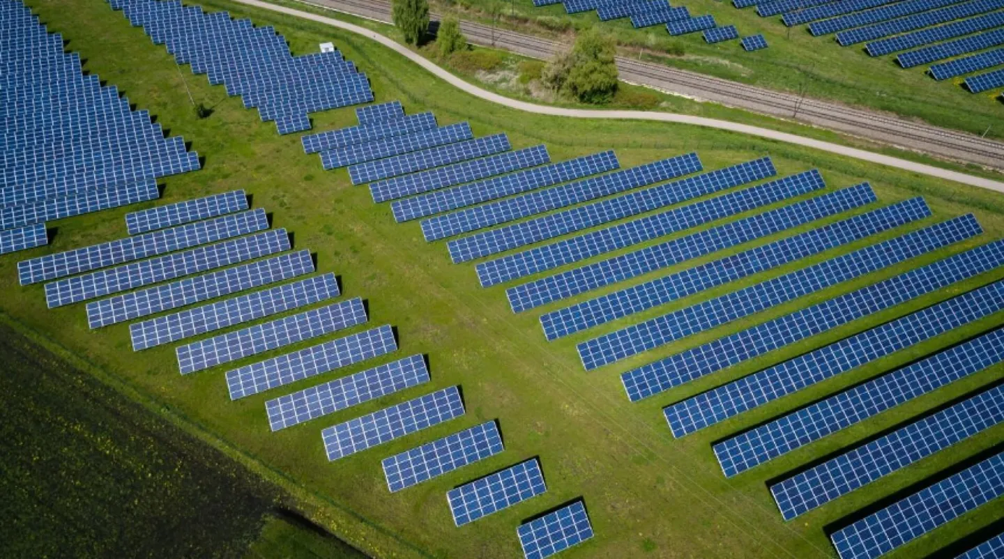 Resilience Through Leadership