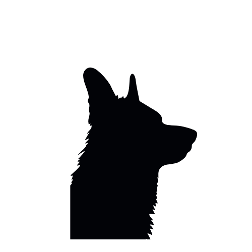 Train Your Dog