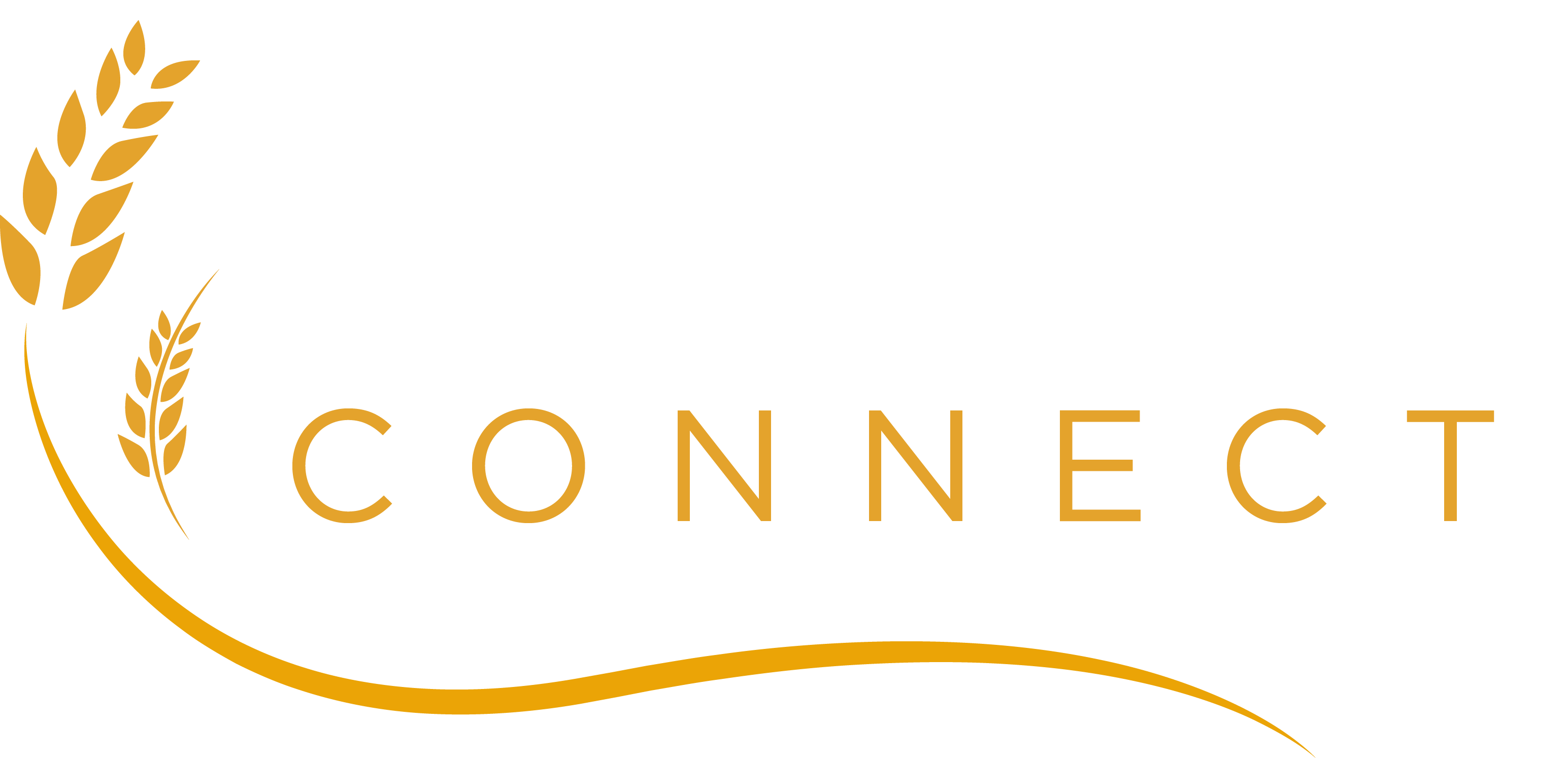Cultura Connect &ndash; OLD Logo