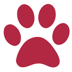 Dog Paw