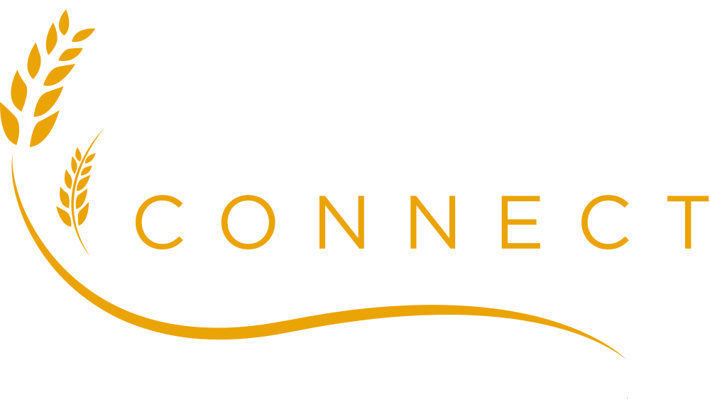 Cultura Connect